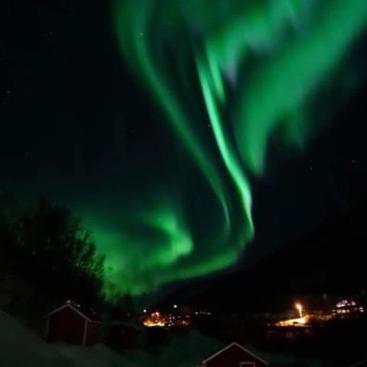 Koselig Dyregard I Tromso Hotel Eksteriør billede