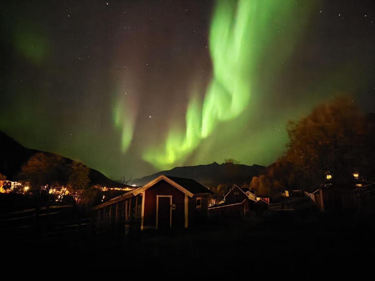 Koselig Dyregard I Tromso Hotel Eksteriør billede